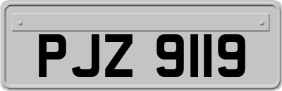 PJZ9119