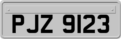 PJZ9123
