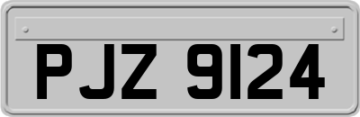 PJZ9124