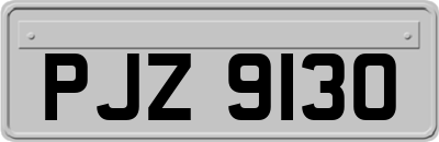 PJZ9130