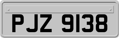PJZ9138