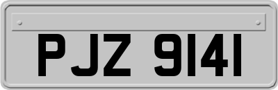 PJZ9141