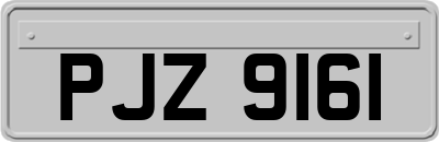 PJZ9161