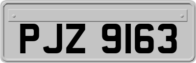 PJZ9163