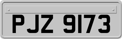 PJZ9173