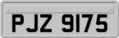 PJZ9175