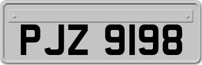 PJZ9198