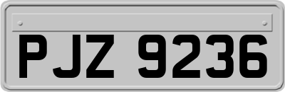 PJZ9236