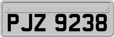 PJZ9238