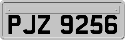 PJZ9256
