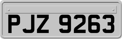 PJZ9263