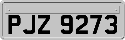 PJZ9273