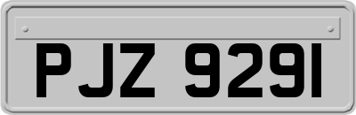 PJZ9291