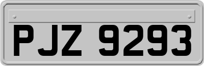 PJZ9293