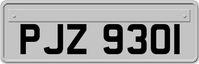 PJZ9301
