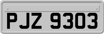 PJZ9303