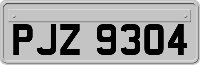 PJZ9304