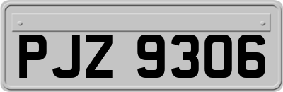 PJZ9306