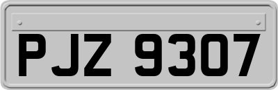 PJZ9307