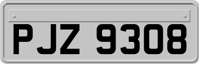 PJZ9308