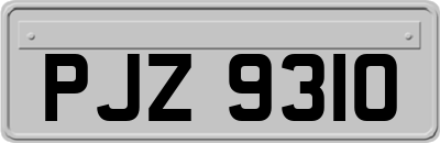 PJZ9310