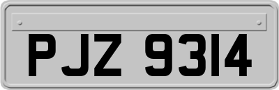 PJZ9314