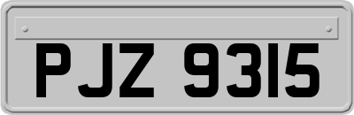 PJZ9315