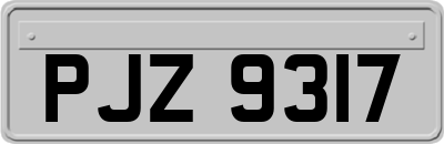 PJZ9317