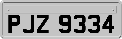PJZ9334