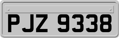 PJZ9338