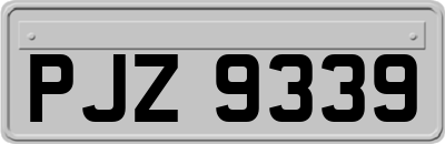 PJZ9339