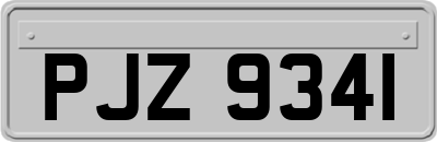 PJZ9341