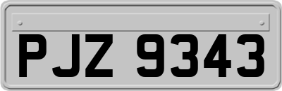 PJZ9343