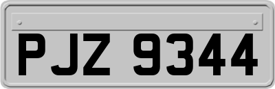 PJZ9344