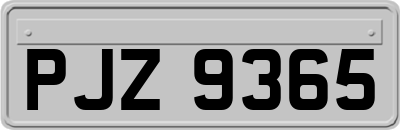PJZ9365