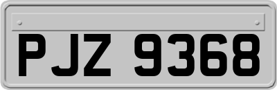 PJZ9368