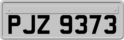 PJZ9373