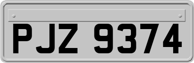 PJZ9374