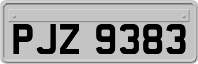 PJZ9383