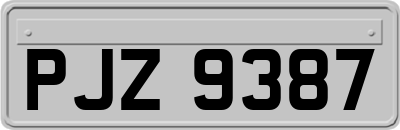 PJZ9387