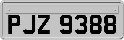 PJZ9388