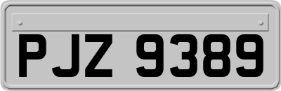 PJZ9389