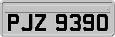 PJZ9390