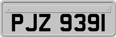 PJZ9391