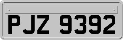PJZ9392