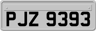 PJZ9393