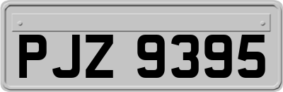 PJZ9395