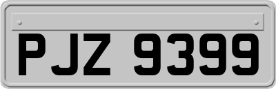 PJZ9399