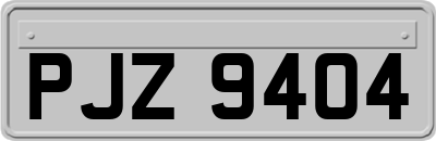 PJZ9404