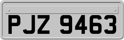 PJZ9463